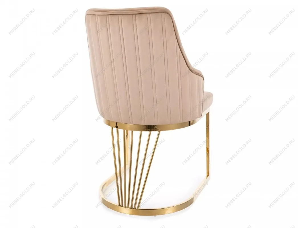 Стул кухонный Signal ALURE Velvet Bluvel 28 (бежевый/золотой) | изображение 1