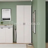 Шкаф Модерн 2D Z