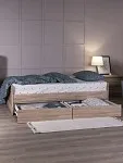 Кровать раздвижная Сириус, с ящиками, 80х200/160х200 см, бежевая, дуб сонома | изображение 3