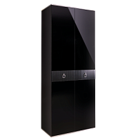 Шкаф 2-х дверный Римини СОЛО (Черный/Серебро) РМШ2/2(s)