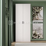 Шкаф Модерн 2DG | изображение 1