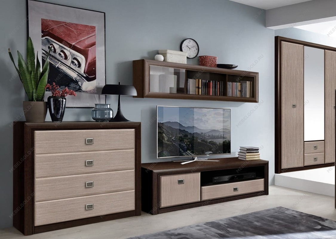 Гостиная Коен Венге/Штрокс 2