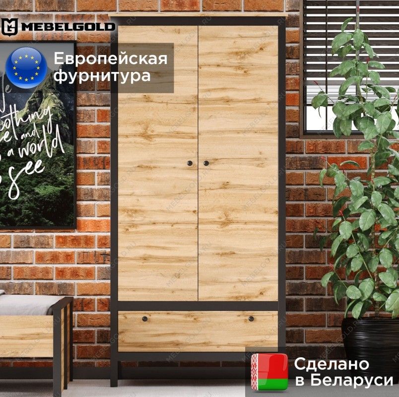 Шкаф Лофт SZF2D1S | изображение 1