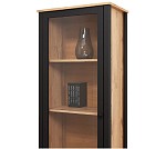 Витрина Лофт REG1W1S | изображение 1